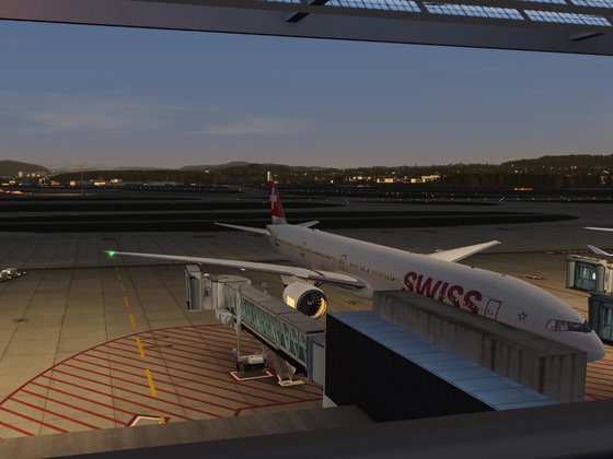 Early morning arrival