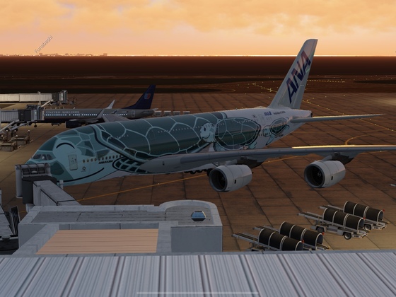 A380 ANA   Tokyo—Honolulu🌺