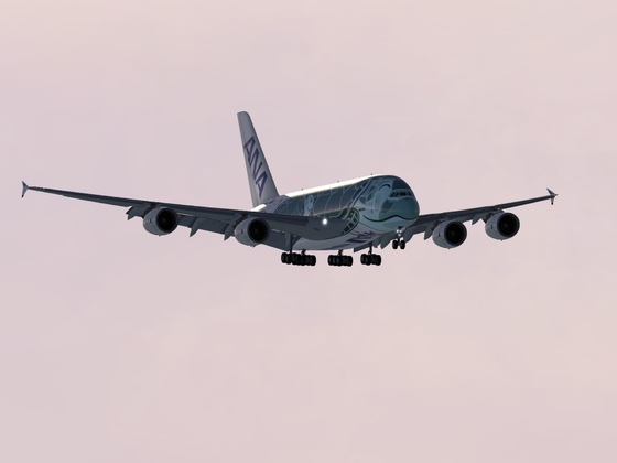 A380 ANA   Tokyo—Honolulu🌺