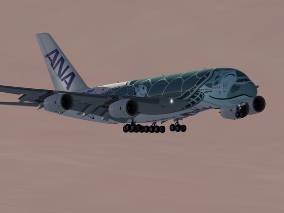 A380 ANA   Tokyo—Honolulu🌺