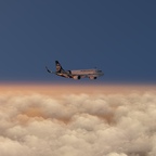 Air New Zealand   AUCKLAND to SYDNEY🇳🇿