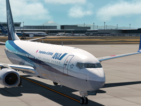 Tokyo Haneda International Airport Terminal 2 - ANA - B737-800 / B787X